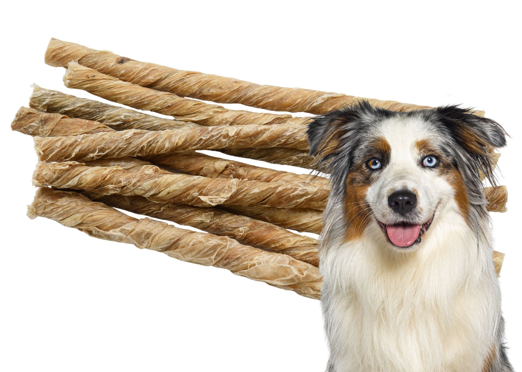 Welpenkausticks aus Kälberblase