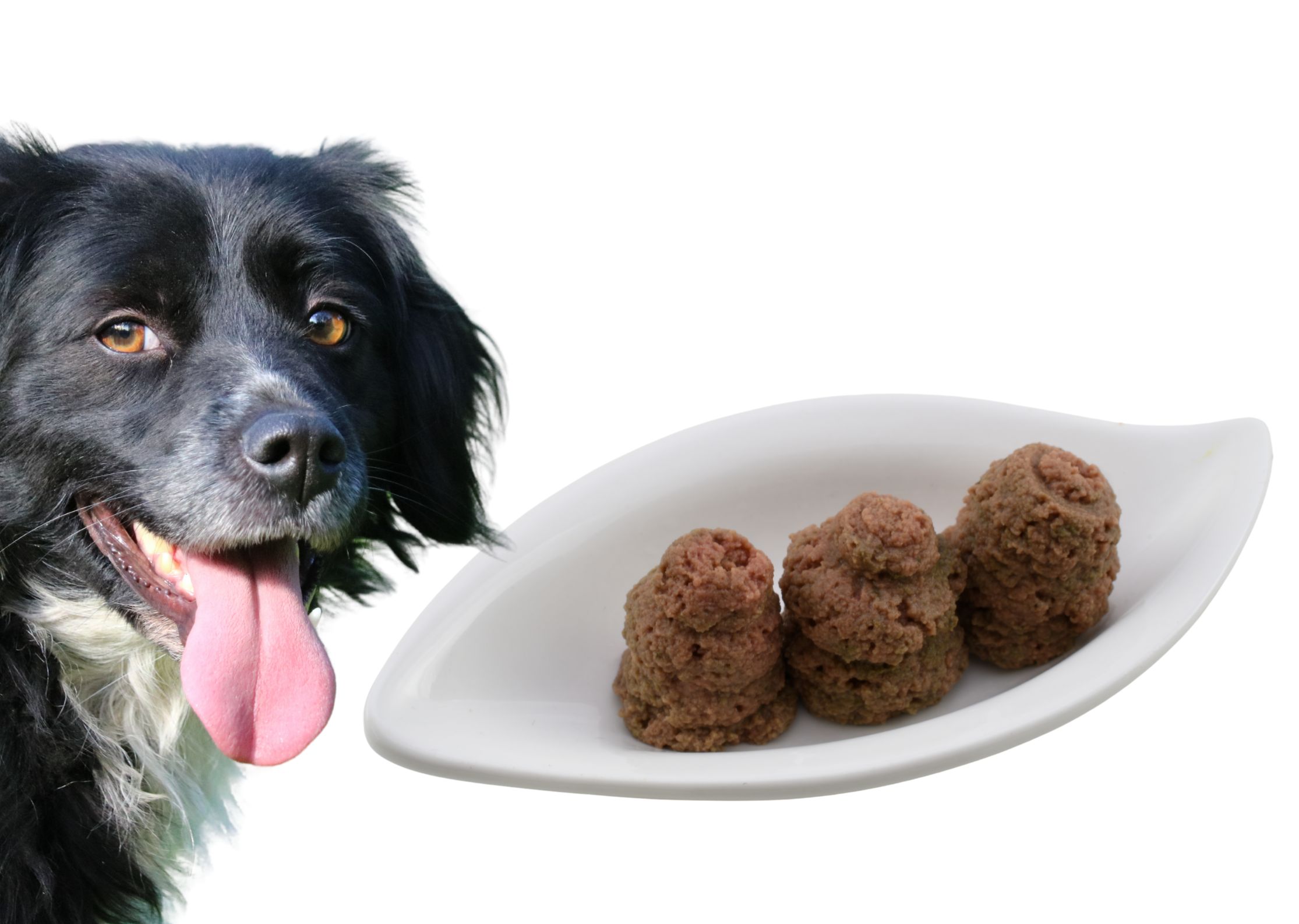 Tubidog Geflügelcreme 75g