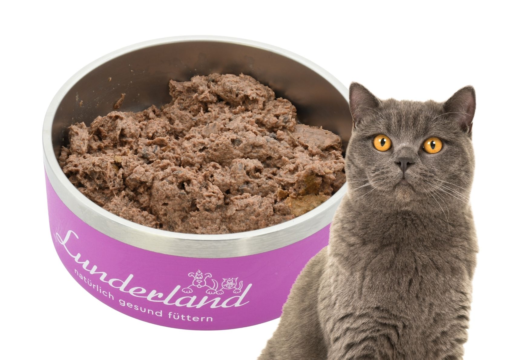 Mäuse Menü für Katzen