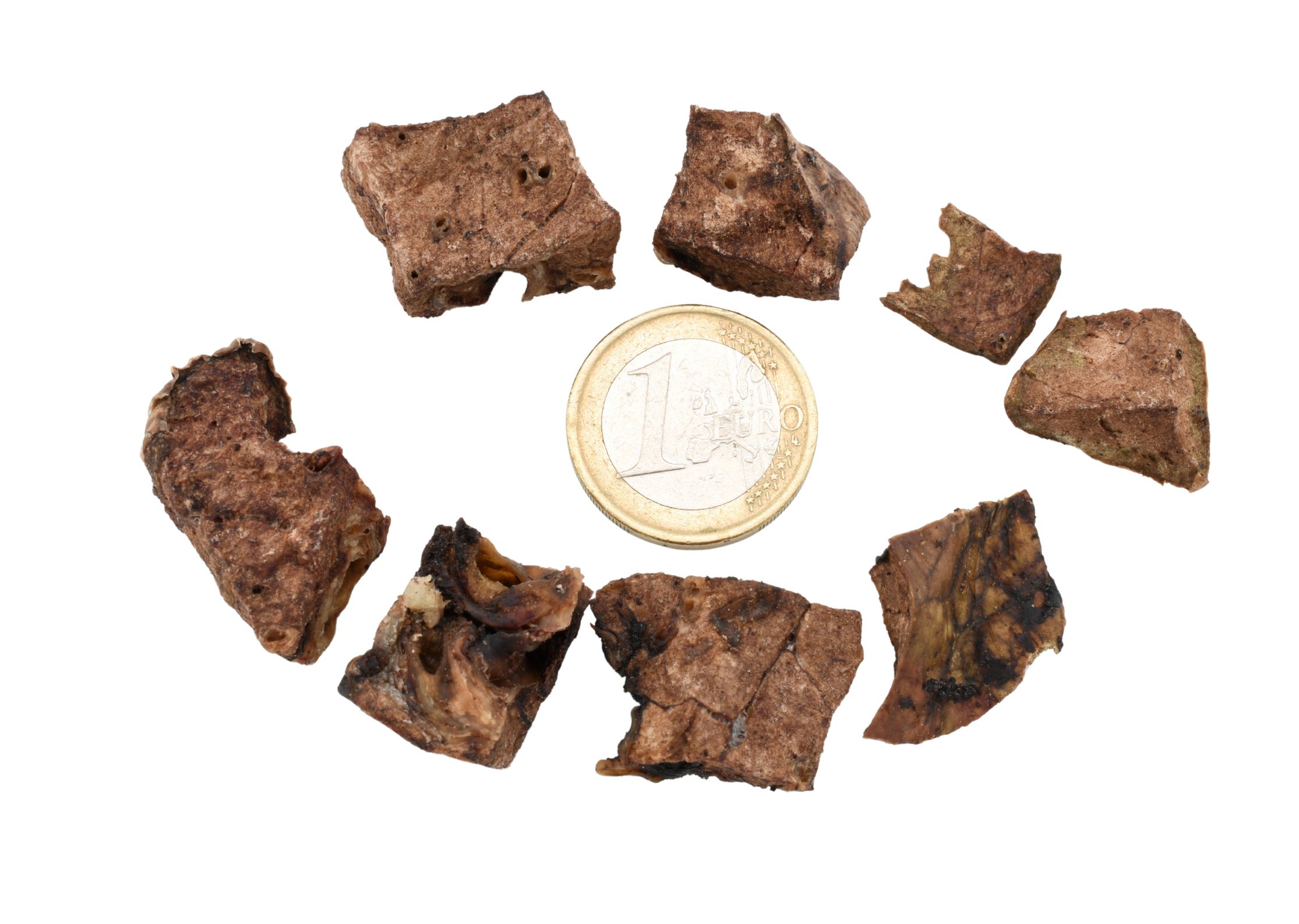 Schweinelungen-Brocken