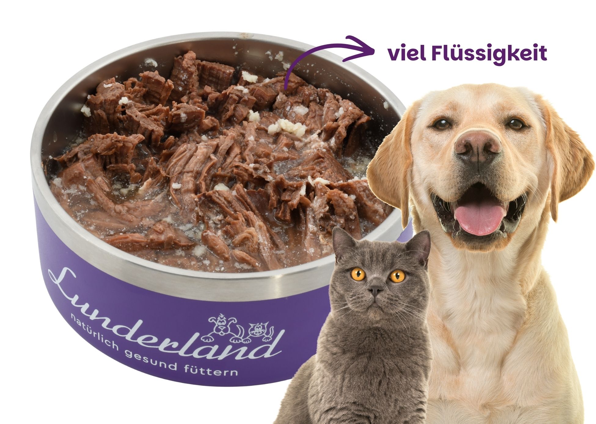 Rinderfilet