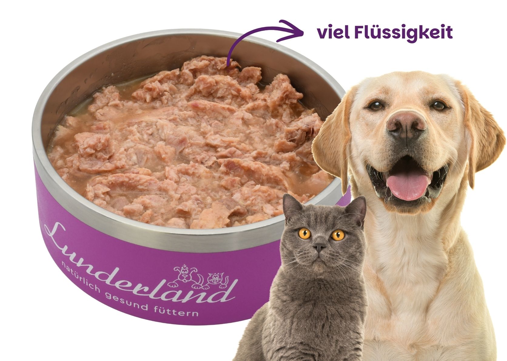 Reinfleisch-Dose Putenfleisch: Hundefutter für Magen-Darm-empfindliche Hunde und Katzen