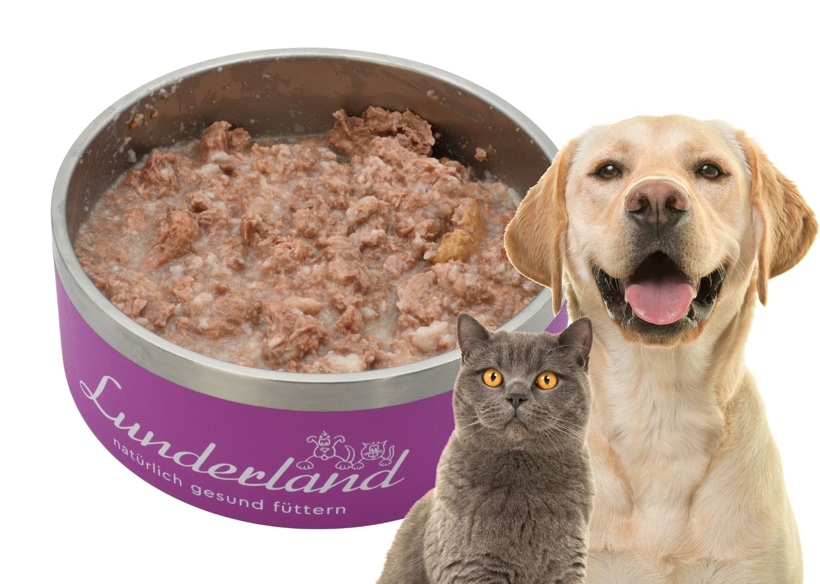 Reinfleisch-Dose Rindfleisch mager