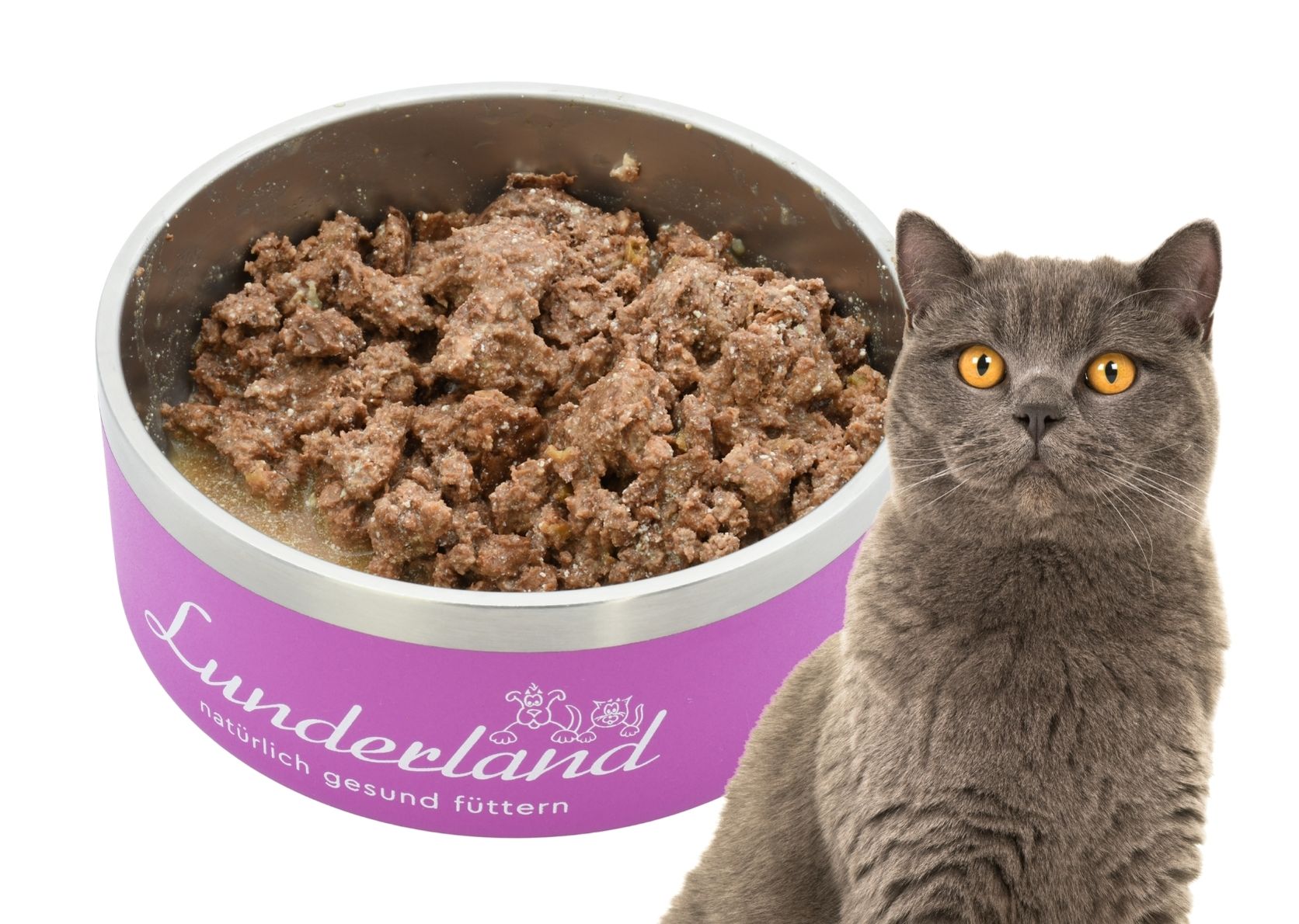 Rinder Menü für Katzen