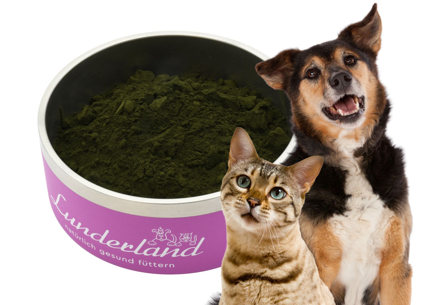 Sonnen-Chlorella