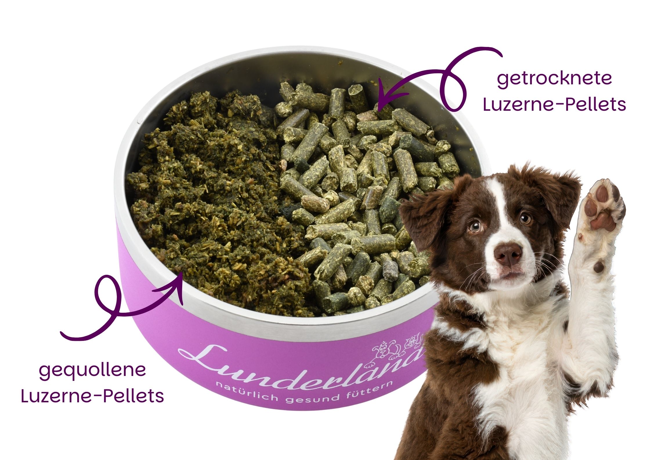 Luzerne-Pellets
