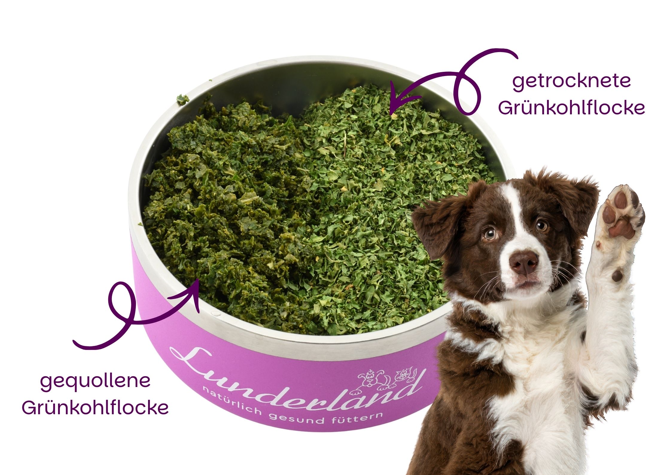 Grünkohlflocke
