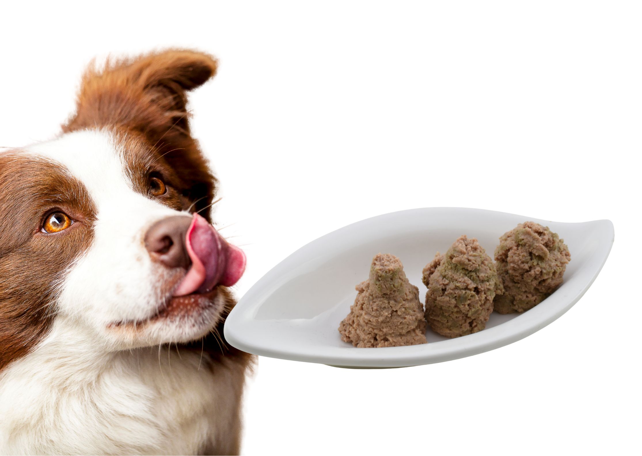 Tubidog Leberwurst 75g